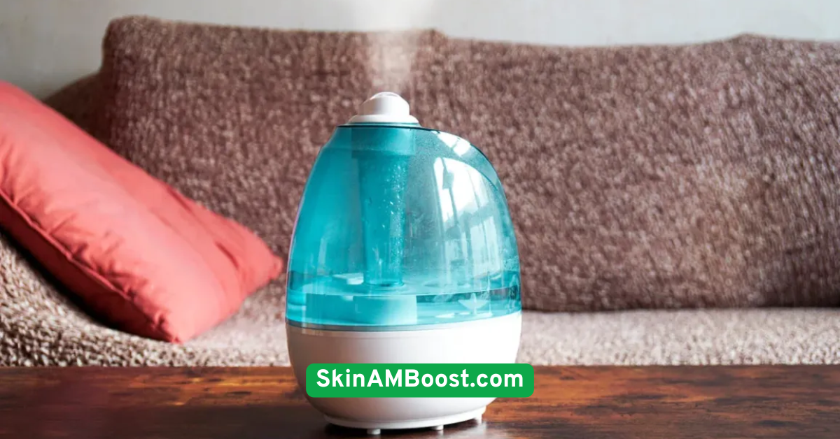 Use a Humidifier in Dry Climates